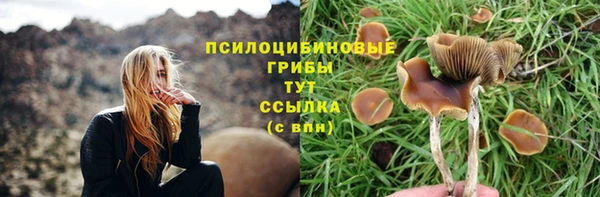 гашиш Саки
