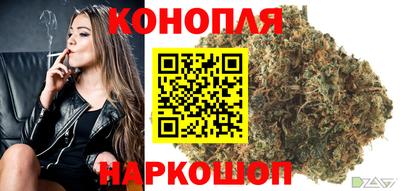 круглые Новодвинск