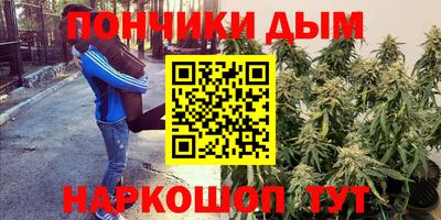 гидра Новокубанск